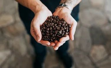Cele mai bine cinci mărci de cafea boabe din lume în 2021