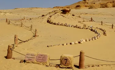 Un eveniment de acum 4.200 de ani ar fi contribuit la prăbușirea Vechiului Regat Egiptean