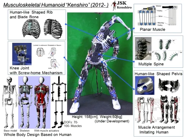  Kenshiro, robotul dotat cu un corp aproape uman 