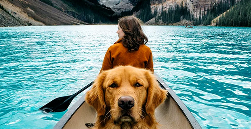 Aspen, câinele care a făcut senzaţie pe Instagram – GALERIE FOTO