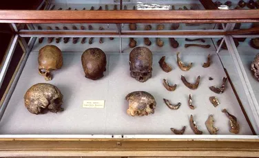 ADN-ul celei mai vechi mumii, conservate natural, dezvăluie secretele triburilor din America