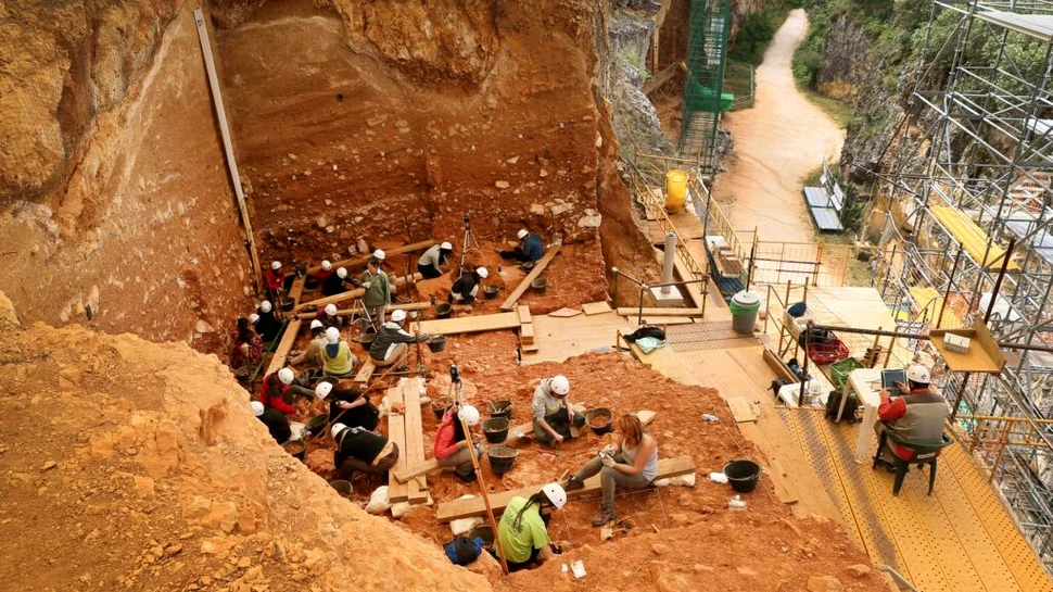 Oasele „primului european”, vechi de 1,4 milioane de ani, au fost găsite în Spania