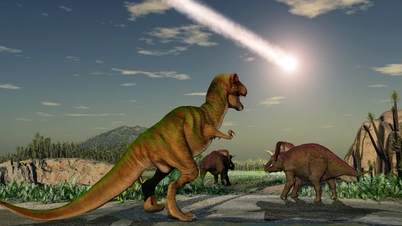 1-dino 