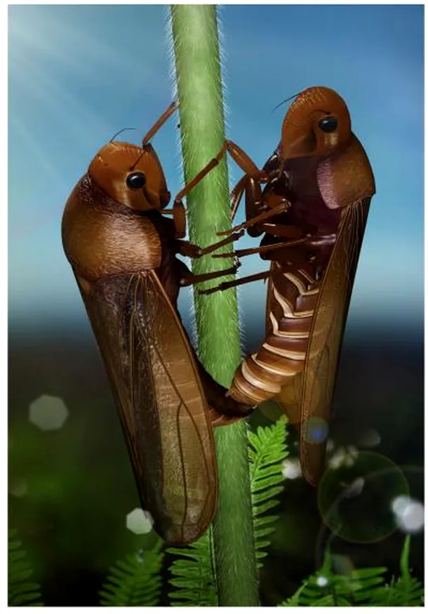 Dragoste eternă: două insecte de acum 165 de milioane de ani au fost surprinse în timpul împerecherii