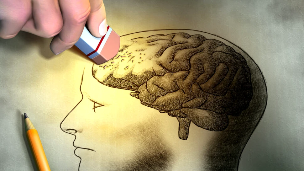 Cum se concentrează creierul pentru a activa memoria de lucru?