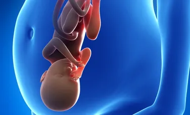 Cum va veni pe lume bebeluşul? Un simulator 3-D arată cum s-ar desfăşura fiecare naştere