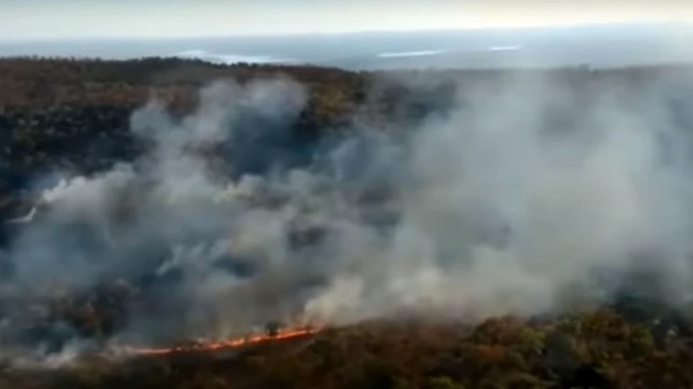 Incendiile din Pădurea Amazoniană, ”plămânul verde al Terrei”. Macron crede că Bolsonaro ”a minţit”