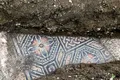 Comoara de sub picioarele lor. Un pavaj din mozaic a fost descoperit sub o vie în nordul Italiei