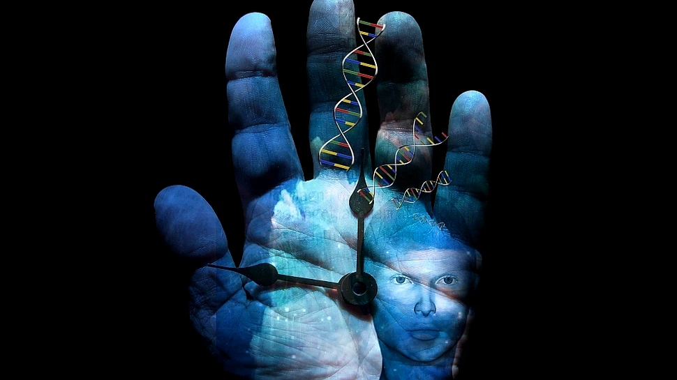 Descoperirea care poate preveni îmbătrânirea: cercetătorii au identificat ceasul biologic care indică vârsta fiecărui organ
