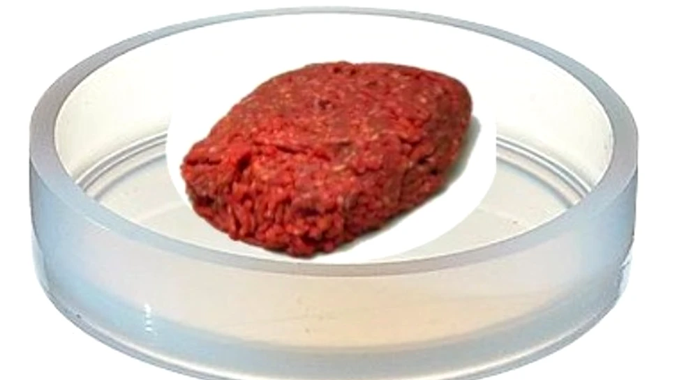 O porţie de cârnaţi sintetici, vă rog!