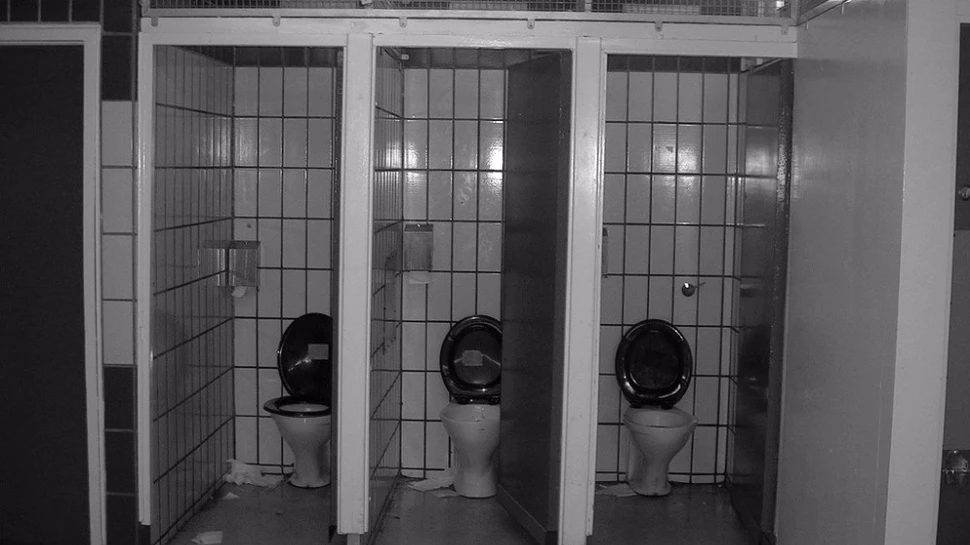 Cum să eviţi contractarea diverselor boli atunci când foloseşti o toaletă publică