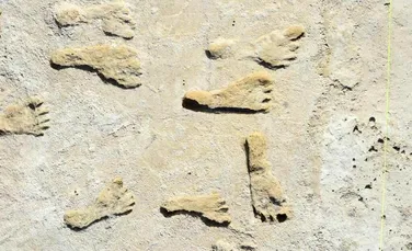 Un studiu confirmă vârsta celor mai vechi amprente umane fosile din America de Nord