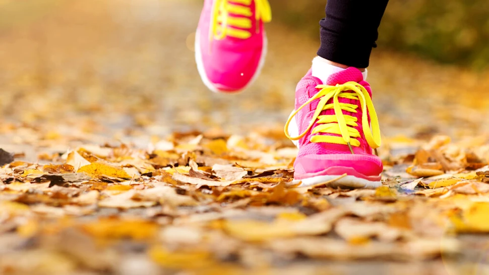 Ce este „zona zero”, exercițiul care nu pare exercițiu?