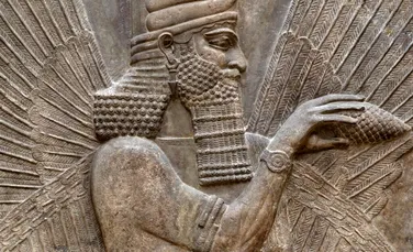 Smalțul dinților dezvăluie ce mâncau primii mesopotamieni