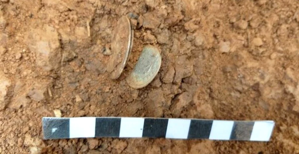 Tezaur de monede din secolul XVI, descoperit la marginea unui sat din Sălaj