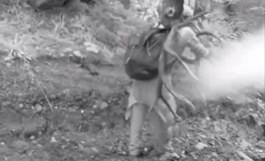 Caz de braconaj surprins de camerele video, într-un loc protejat din România. Surpriză de proporţii: cine este unul dintre braconieri – VIDEO