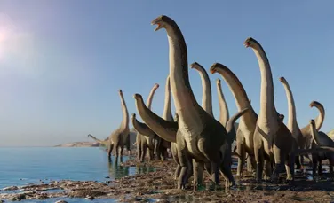 O nouă descoperire dezvăluie cum aveau grijă sauropodele de puii lor