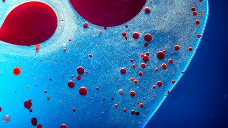 Proteinele din sânge ar putea prezice cancerul cu 7 ani înainte de diagnostic