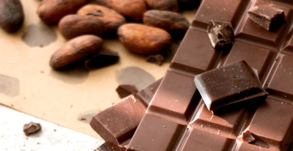 Substanțe din boabele de cacao ar putea îmbunătăți memoria persoanelor în vârstă