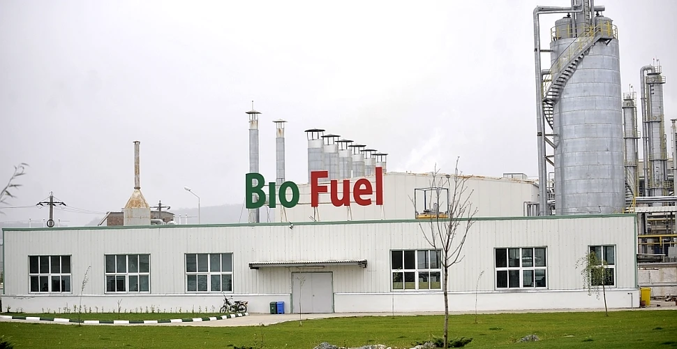 Producerea de biocombustibili în Europa va duce la 1.400 de decese anual şi va afecta agricultura