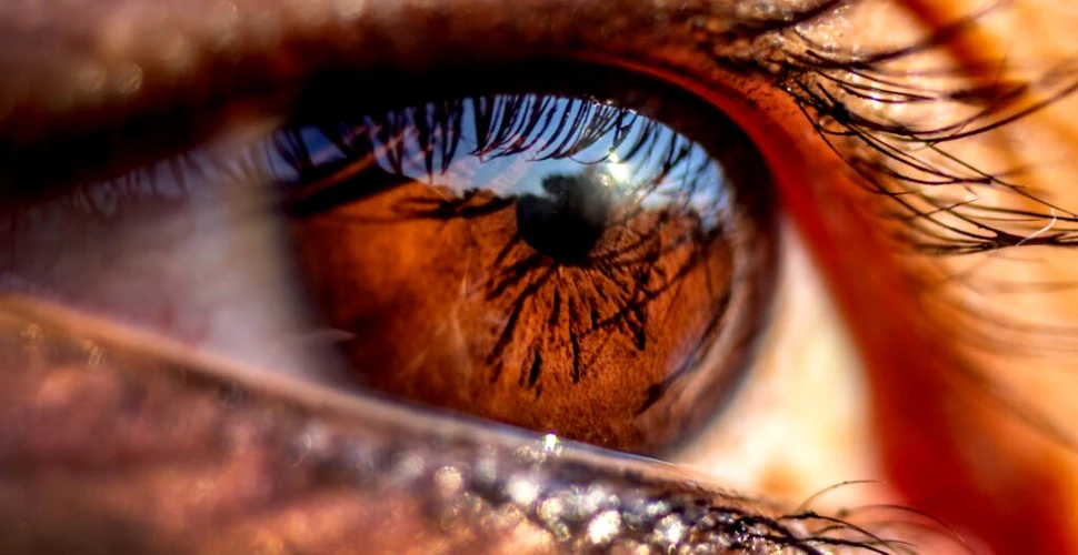 Vârsta moleculară a ochiului a fost stabilită pentru prima dată