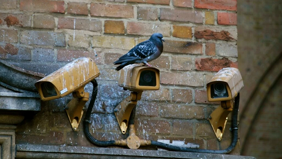 Cum și-a spionat CIA proprii cetățeni folosind un agent mai puțin obișnuit?