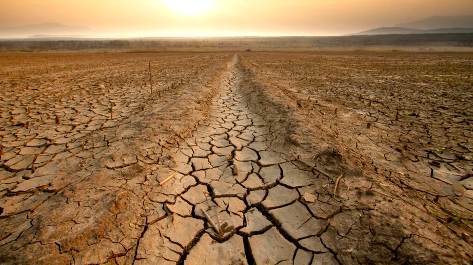 Oamenii de știință anunță că 2024 va fi cel mai cald an din istoria măsurătorilor