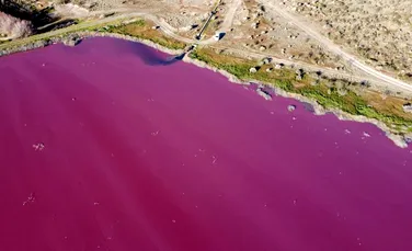 O lagună din Patagonia a devenit roz deschis, însă nu din cauze naturale