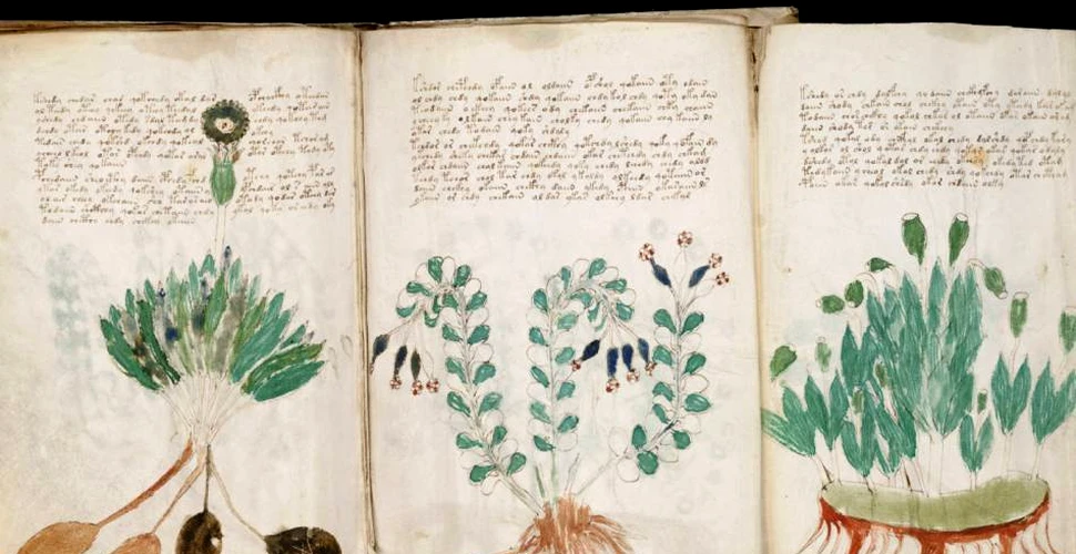 A fost spart codul celui mai enigmatic manuscris din lume? Un savant susţine că a descifrat 10 cuvinte din manuscrisul Voynich (VIDEO)