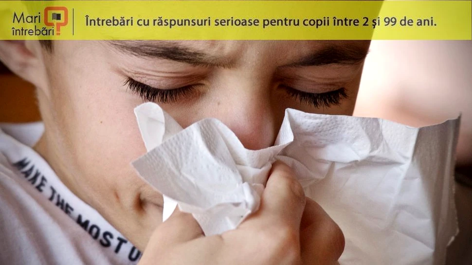 De ce alergiile de sezon ne produc somnolenţă?
