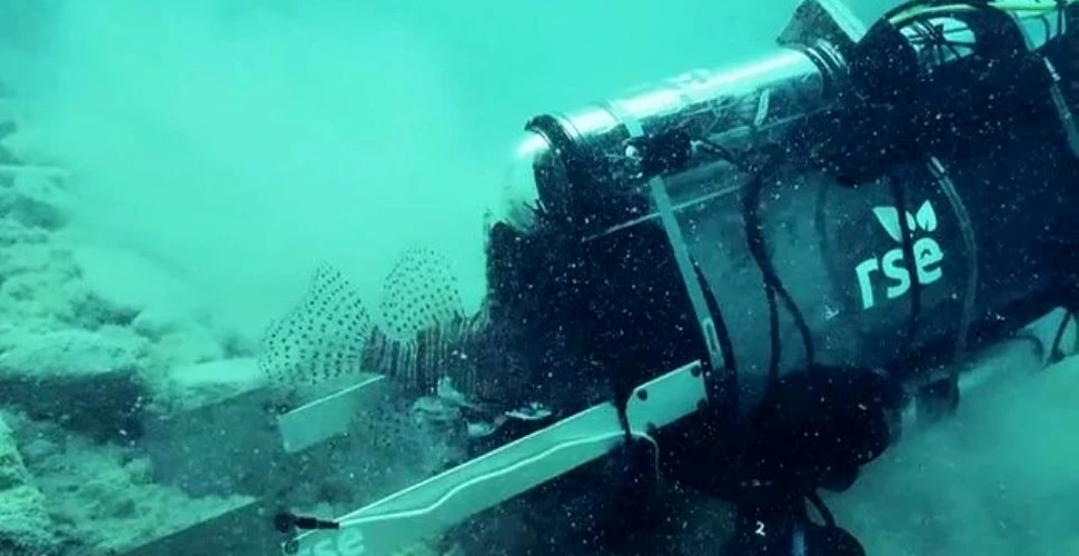 A fost inventat un robot care prinde o specie dăunătoare de peşti din recifurile din Atlantic