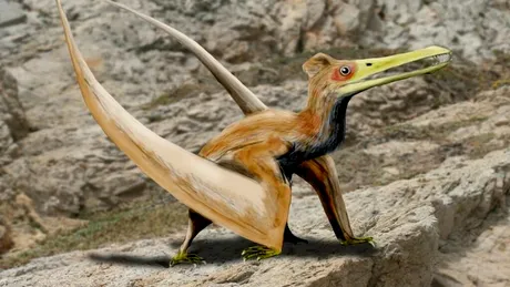 O fosilă de pterozaur unică, veche de 90 de milioane de ani, a fost descoperită în Japonia