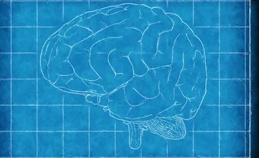 Un nou model al creierului surprinde mai bine efectele traumelor cauzate de accidentul vascular cerebral