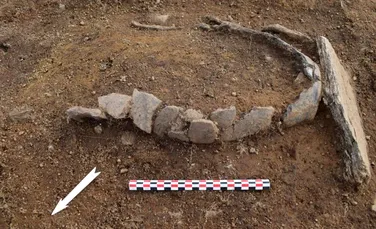 O necropolă din perioada timpurie a Epocii Bronzului a fost descoperită în Bretania