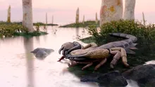 Cercetătorii au descoperit cel mai mare scorpion care a trăit vreodată. Acesta era cât un câine!