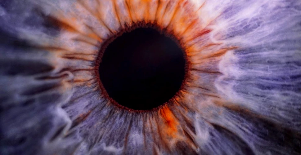 Pupilele ochilor noștri pot percepe și informația numerică, nu doar lumina