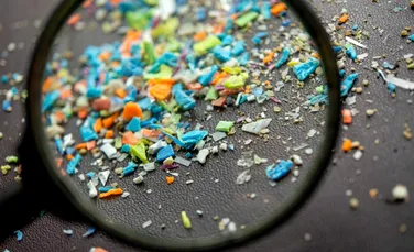 Un burete din bumbac și și os de calmar a absorbit 99,9% din microplastice