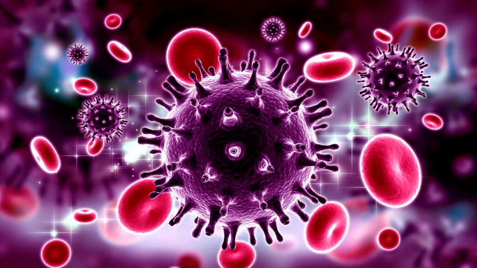 Noi simulări arată cum se strecoară virusul HIV în nucleul celulei