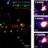 Astronomii ar fi surprins o galaxie timpurie chiar în timp ce se „stingea”