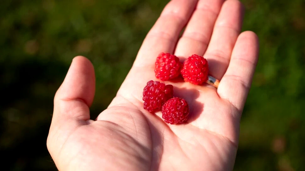 Care sunt obiceiurile alimentare care te pot îmbătrâni mai repede și cum să le corectezi?