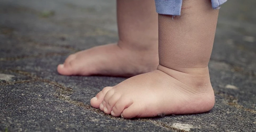Cum au ajuns oamenii să fie bipezi. Cercetătorii au descoperit noi informaţii privind evoluţia piciorului
