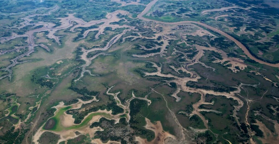 Seceta din pădurea amazoniană, evenimentul climatic devastator din 2023