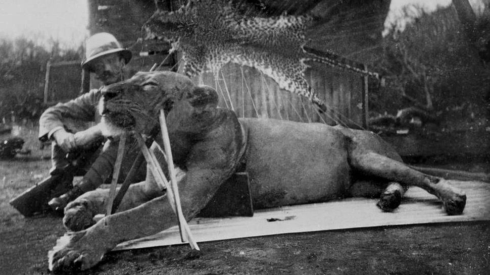 Misterul muncitorilor ucişi şi devoraţi de lei, elucidat după mai bine de un secol: ”Sunetul îngrozitor pe care îl făceau atunci când devorau omul mi-a rămas în minte timp de câteva zile”