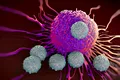 Cercetătorii au descoperit o celulă din corpul uman ce poate ataca cancerul