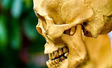 Evoluția explică de ce suntem atât de stresați: „Corpul tău crede că te lupți cu lei în fiecare zi”