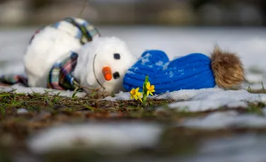 Vine sau nu primăvara? Meteorologii au anunțat prognoza pentru luna martie!