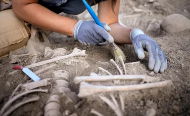 Arheologii au descoperit un copil îngropat cu 142 de câini, într-o necropolă egipteană antică