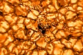 Noi imagini spectaculoase dezvăluie structura Soarelui