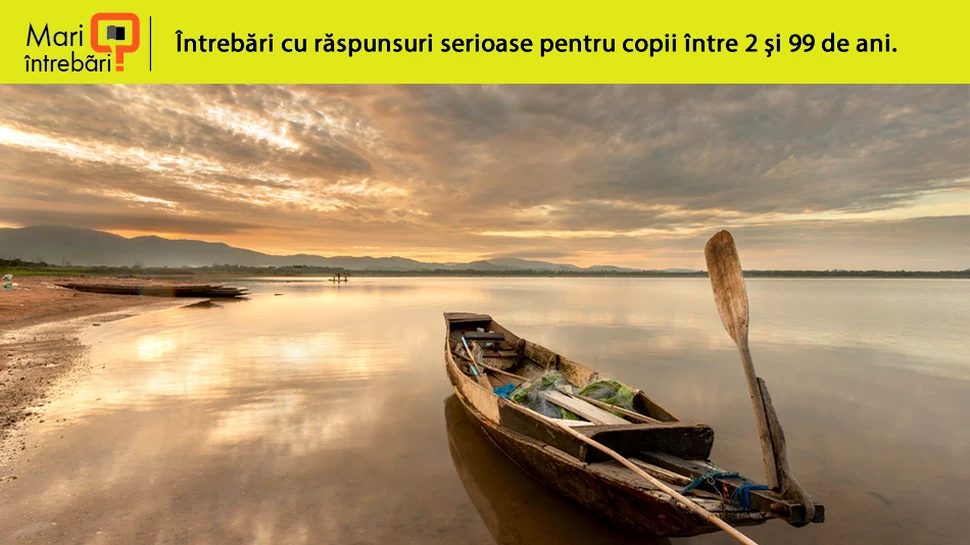 Care sunt diferenţele dintre deltă şi estuar?