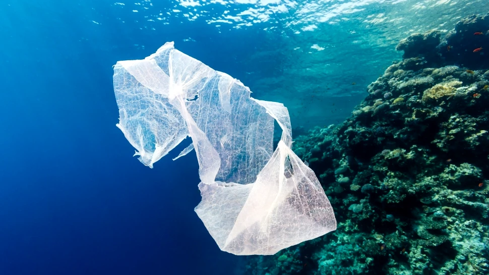 Masa deşeurilor plastice din oceanul planetar riscă să o depăşească pe cea a peştilor, în 2050